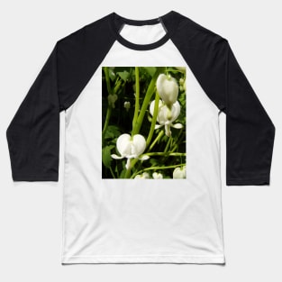 white bleeding heart macro Baseball T-Shirt